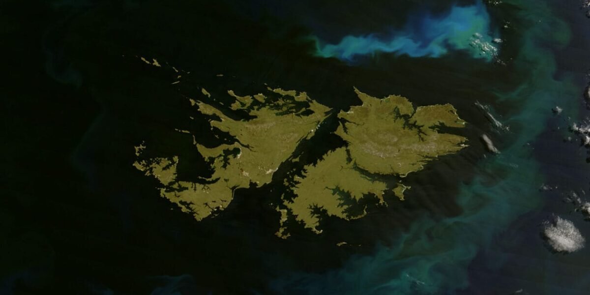 02-11-2020_bicentenario_primer_izamiento_en_malvinas