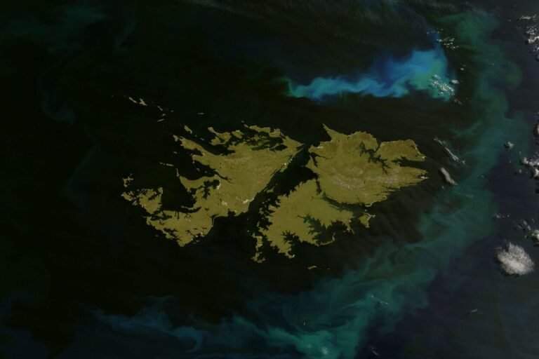 02-11-2020_bicentenario_primer_izamiento_en_malvinas