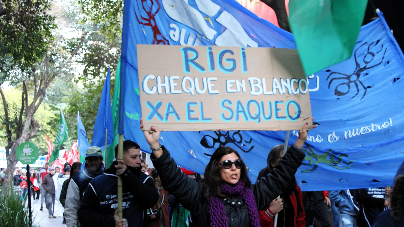Peter Thiel y el Súper RIGI: nos paramos de manos o rifan la Patagonia - Al Margen | Periodismo Colectivo