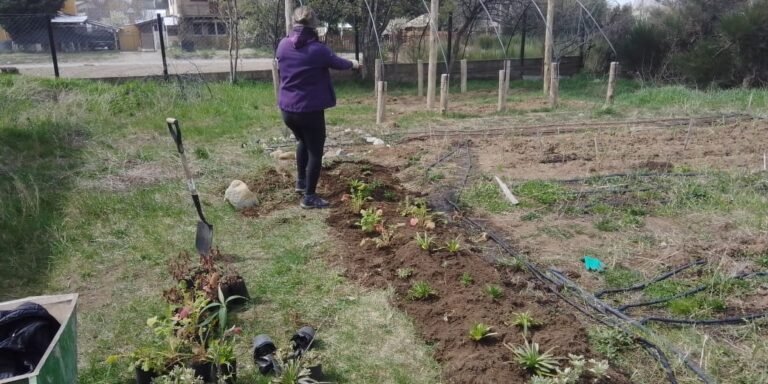 Copia de 6b691fc2-70b9-413d-be4b-f0d59aeb6b93