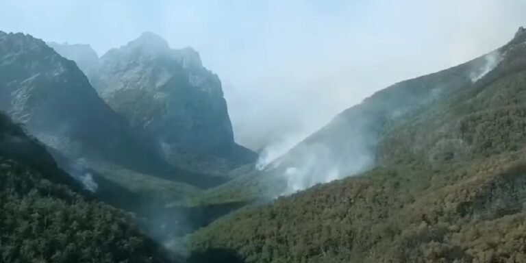 d5821c91-c52b-48c4-b87a-6d80b88c6d0a